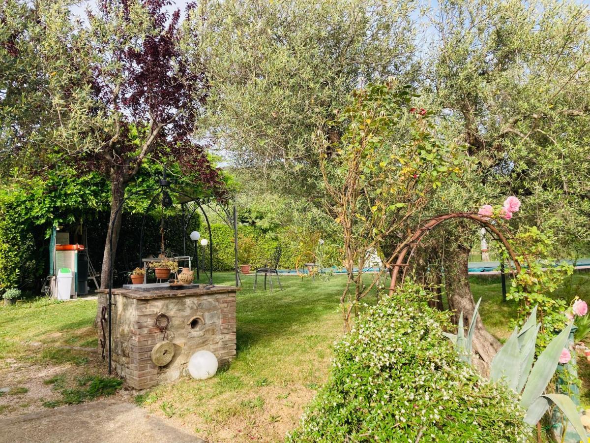 Le Coccole Del Trasimeno Guest House Tuoro sul Trasimeno Exterior photo
