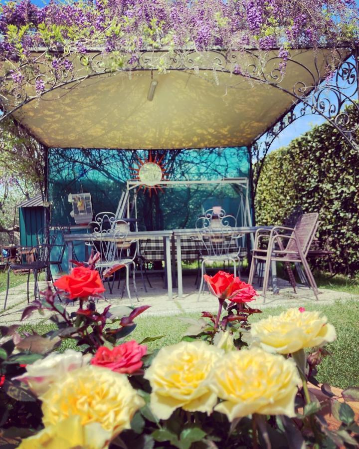 Le Coccole Del Trasimeno Guest House Tuoro sul Trasimeno Exterior photo