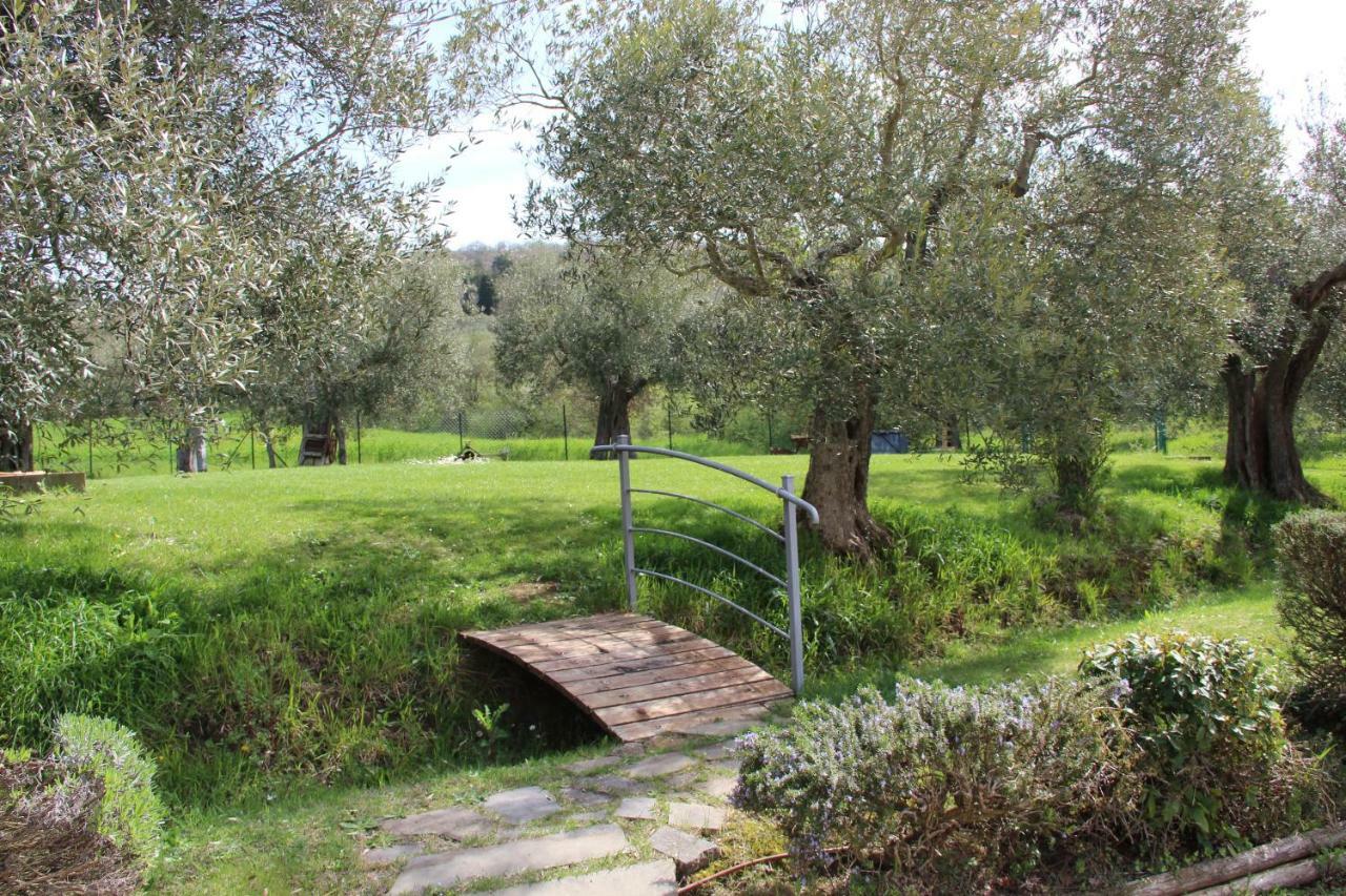 Le Coccole Del Trasimeno Guest House Tuoro sul Trasimeno Exterior photo