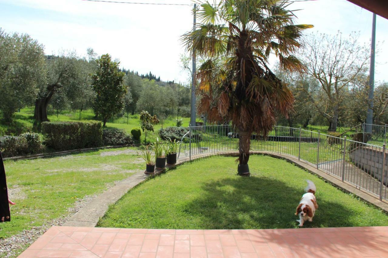 Le Coccole Del Trasimeno Guest House Tuoro sul Trasimeno Exterior photo