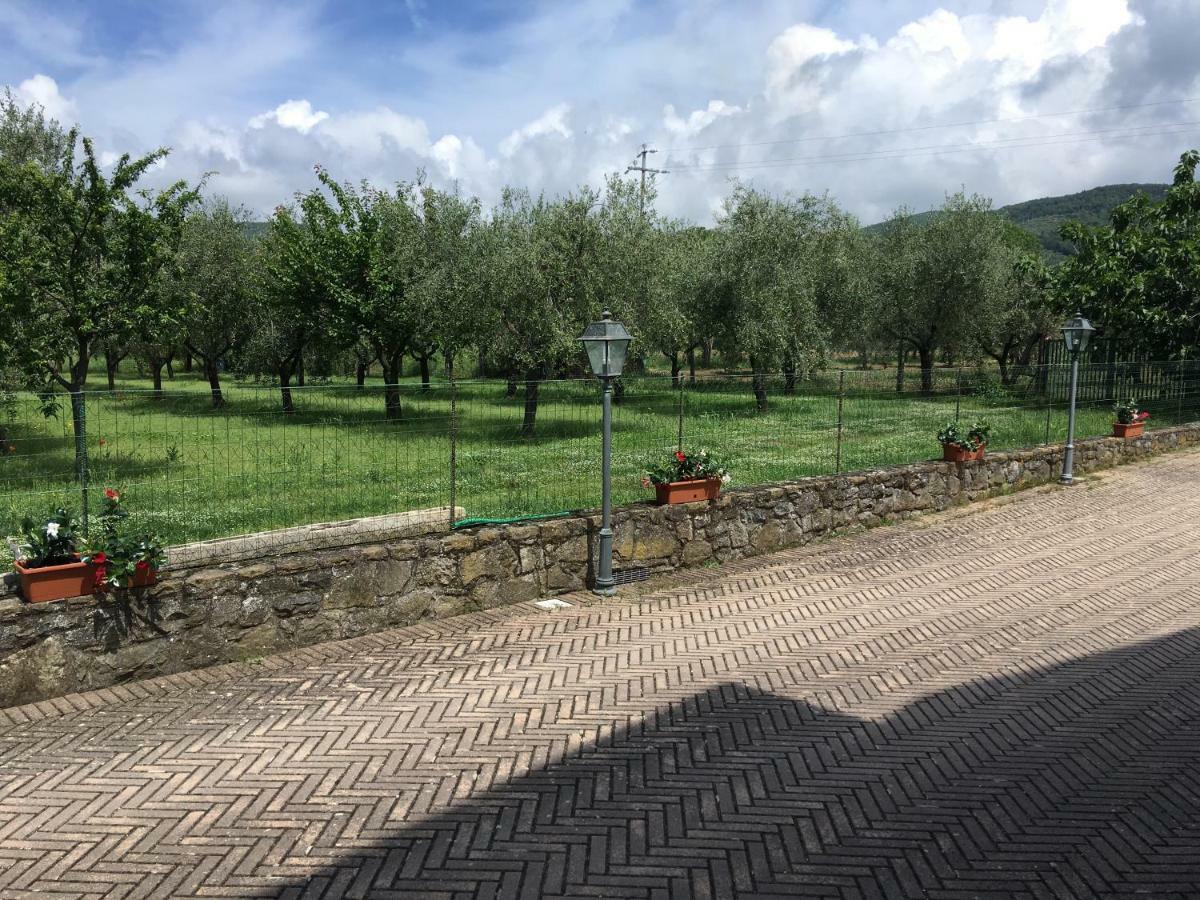 Le Coccole Del Trasimeno Guest House Tuoro sul Trasimeno Exterior photo